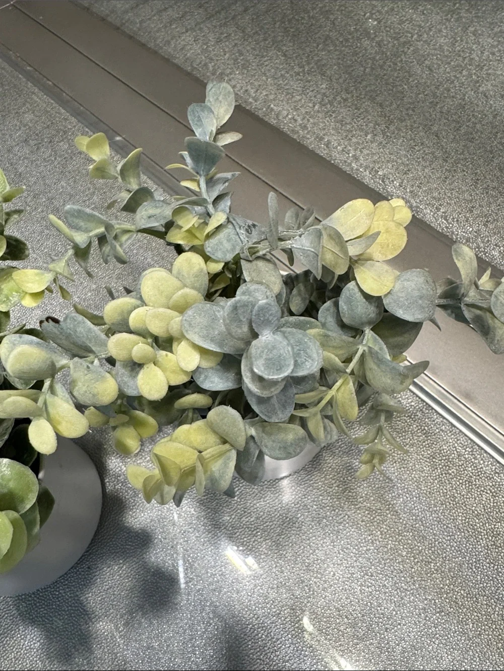Artificial Eucalyptus Tabletop Plant in White Pot - Green- set of 2